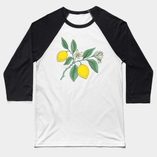 Lemon botanical print Baseball T-Shirt